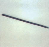 20071011101759-1palito.gif
